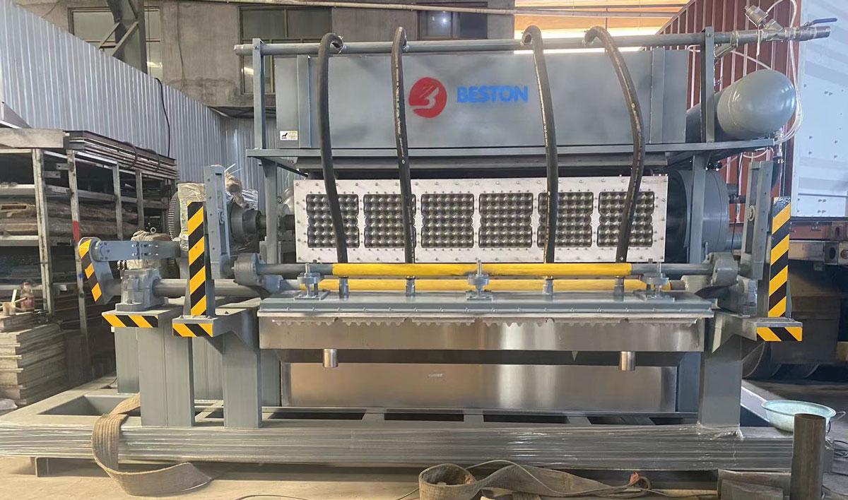 BTF6-8 Beston Egg Tray Making Machine Shipped to India